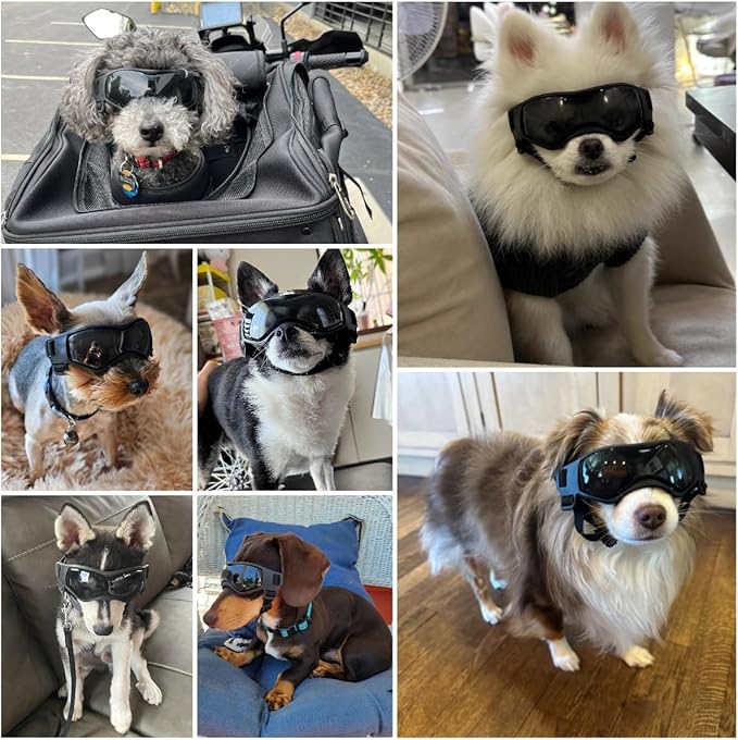 NAMSAN Dog Goggles Small Breeds, UV Protection Pet Sunglasses for Puppy, Windproof Dust-Proof, Adjustable Elastic Straps, Outdoor Driving Driving Cycling Small Dog Eye Protection, Black