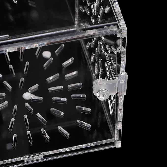 Acrylic Transparent Fish Tank Breeding Isolation Box, Aquarium Hatchery Incubator Holder with Hook and Sucker Design, Adjustable Height for Fish Breeding, Isolation of Big and Baby (30CM*10CM*10CM)