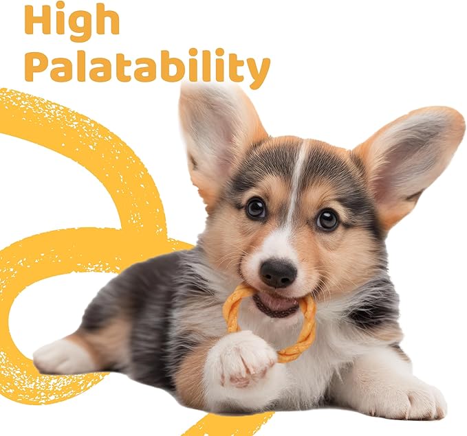 iPaw 5 Stock-Up Combo Turkey Dog Treats, All Natural Human Grade Dog Treat, Suitable for Training chew, US Sourced Raw Material, Hypoallergenic, Rawhide Alternative, Ring (Original)