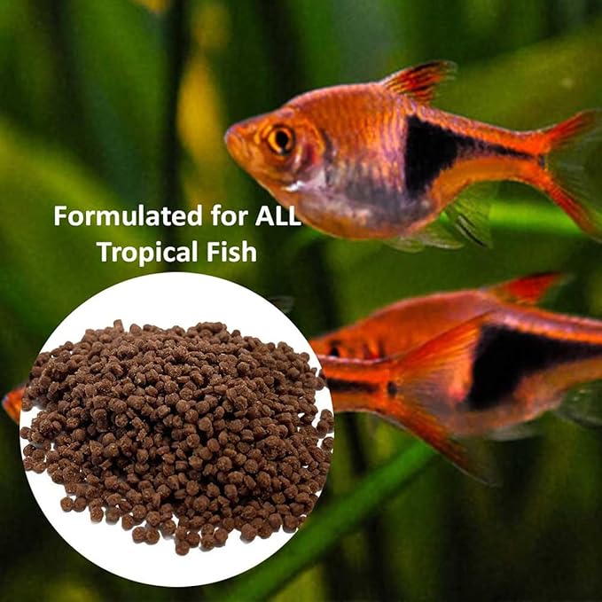 Vitalis Tropical Freshwater Pellets 1mm 70g (2.47oz) – Premium Fish Food for Tropical FreshwaterTanks, Helps Enhance Color and Health of Aquarium Fish