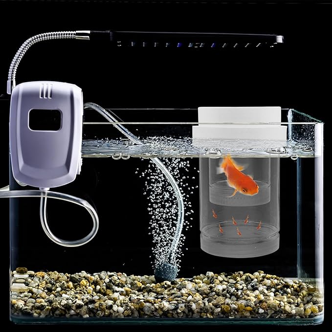 Fish Breeding Box and Floating Hatchery Incubator Set with Fine and Coarse Mesh, Aquarium Isolation Box for Guppy Fry and Betta, Small Size White Aquarium Fish Hatchery Divider