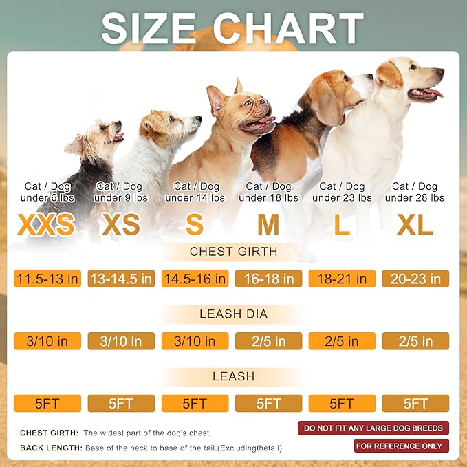BEAUTYZOO Step in Dog Harness and Leash Set, Polka Dot Pattern Reflective Dog Harness No Pull No Choke Puppy Harness for XXS XS S Dogs Cats, Soft Padded Mesh Vest Harnesses for Girl and Boy Pets