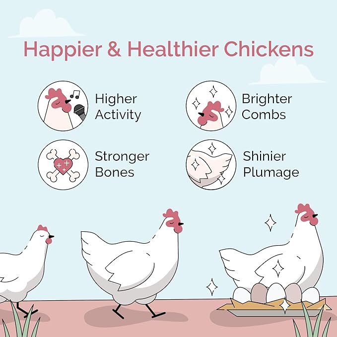 Mile Four Organic Chicken Feed – Layer Whole Grain, Non-GMO, USA Grown, 16% Protein, Corn-Free, Soy-Free, Non-Medicated Feed for Chickens, 2 lb Sample