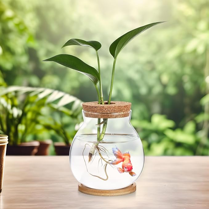 Desktop Fish Tank Small Glass Fish Bowl with Cushion 5.51X5.11X1.18In Hydroponic Plant Terrarium Betta Bowl for Home Office Decoration