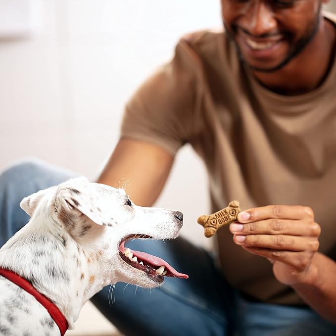 Milk-Bone Dog Treats, Flavor Snacks, 24 Ounce | Small Biscuits | Crunchy Texture | Reduces Tartar | Pack of 2
