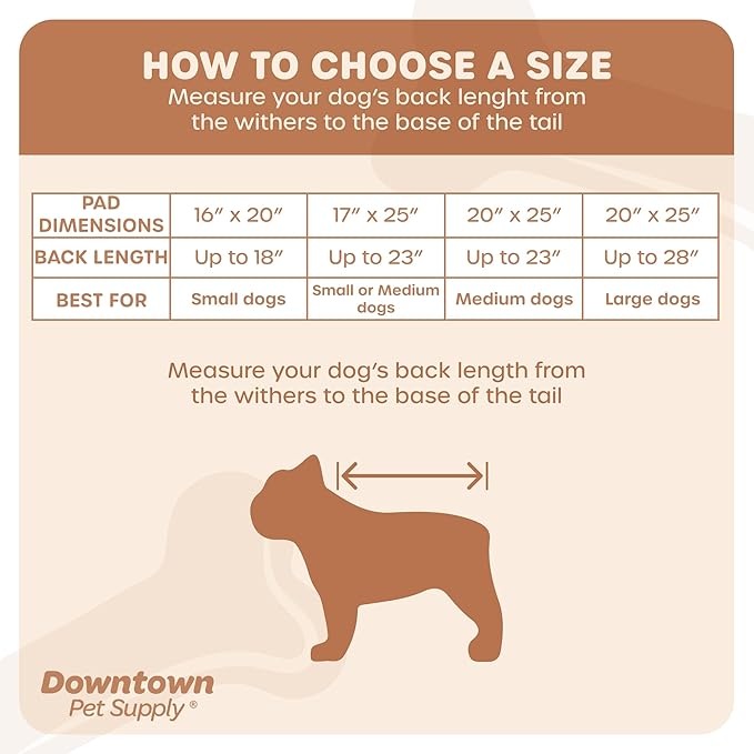 Downtown Pet Supply Dog Grass Pad with Tray, 20 x 25 - Outdoor and Indoor Potty System for Dogs with Replaceable Synthetic Grass Pee Turf - Portable and Waterproof Turf Dog Potty