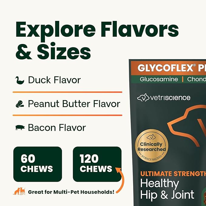 VetriScience GlycoFlex Ultimate Strength Healthy Chews– Dog Hip and Joint Supplement with Glucosamine, MSM for Dogs & Green Lipped Mussel for Dogs, Peanut Butter, 60Count - New Look