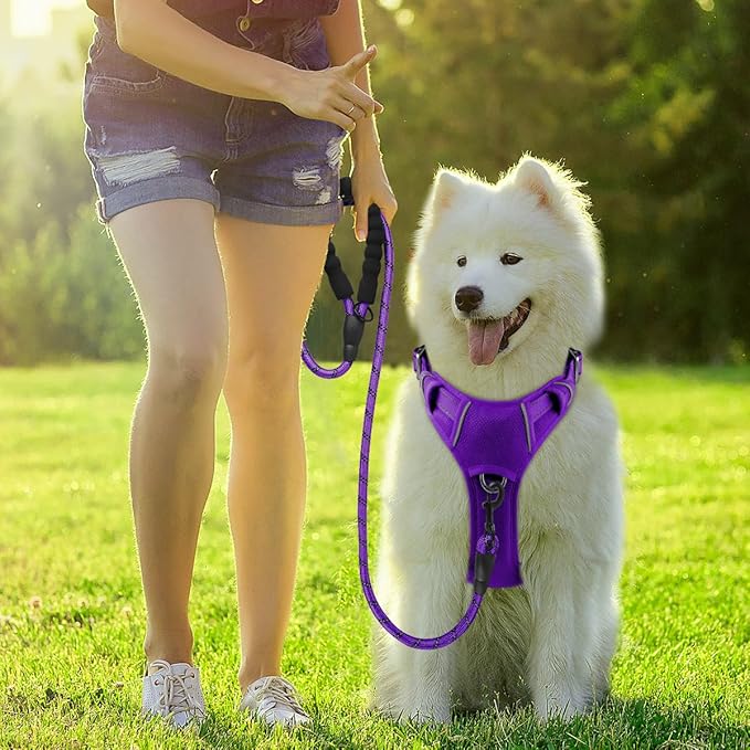 BARKBAY Dog Harness No Pull with ID Tag Pocket - Heavy Duty, Reflective, Easy Control for Large Dogs(Purple,S)