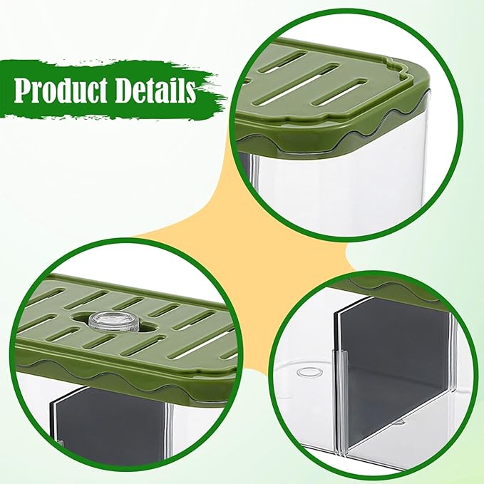 Small Fish Tank Aquarium Breeding Box Sturdy Acclimation Hatchery for Clownfish Bedroom, Green
