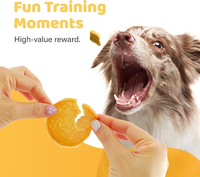 iPaw Turkey Chips Dog Treats for Puppy Training, All Natural Human Grade Dog Treat, US Sourced Raw Material, Hypoallergenic, Easy to Digest (Turkey Chips)