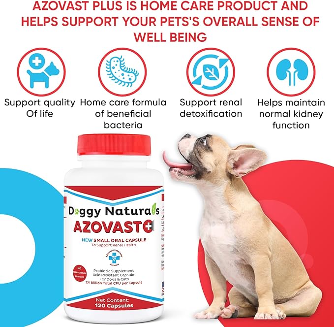 Azovast Plus Cat Kidney Support for Dogs & Cats, 120ct, 120ct - NO Refrigeration Required - Help Support Kidney Function & Manage Renal Toxins - Kidney Health Supplement Capsule(U.S.A) (120 Caps)