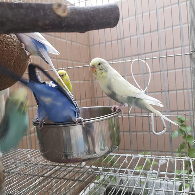 4 pcs Bird Feeding Dish Cups, Parrot Stainless Steel Food Bowl Cage Water Feeder with Clamp Holder for Parrots Cockatiel Budgies Lovebird Parakeet Feeding Cups with 4 Spoon