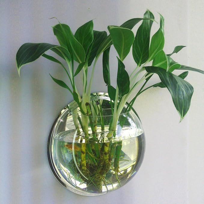 Hanging Wall Mounted Fish Bowl, Clear Acrylic Betta Fish Tank, Samll Fish Bowl Decor, Clear Acrylic 5.9 Inch 7.7 Inch 10.2 Inch