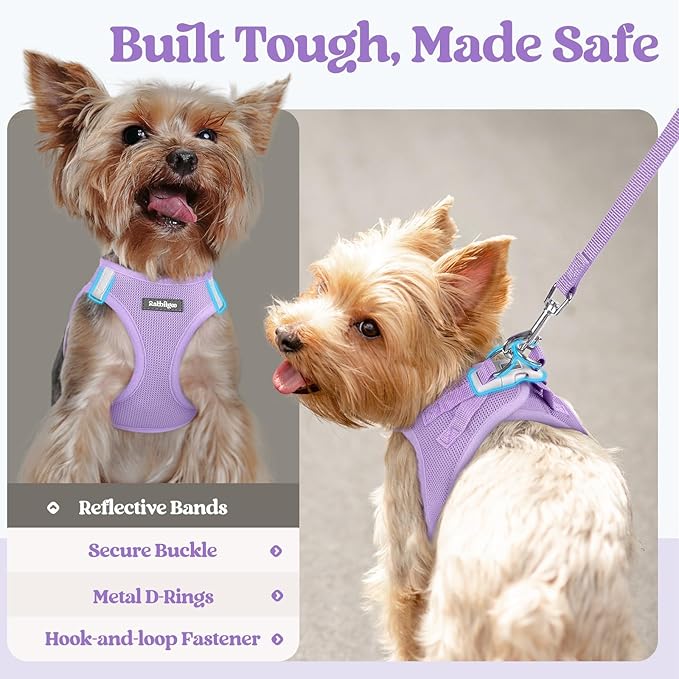 rabbitgoo Dog Harness Small Sized and Leash Set, Step in Soft Light Puppy Vest, Breathable Mesh Pet Harness, Reflective for Safe Easy Walking, Light Purple M