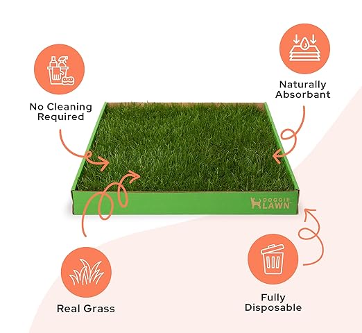DoggieLawn Real Grass Puppy Pee Pads- 24 x 20 Inches - Perfect Indoor Litter Box for Dogs - No Mess, Easy-to-Use - Potty Training for Pets - Eco-Friendly Disposable Bathroom with Real Living Grass