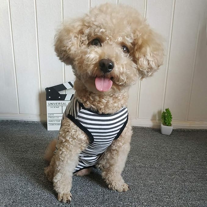 Dog’s Recovery Suit Post Surgery Shirt for Puppy, Wound Protective Clothes for Little Animals(Black White Stripe-s)