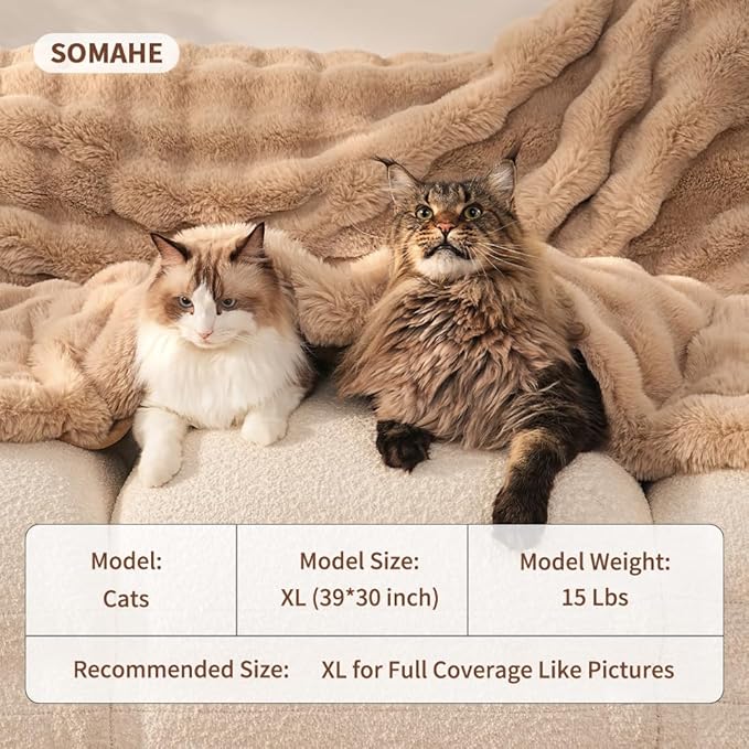 Self-Warming Cat Blanket, Dual-Side Plush Sherpa Throw with Anti-Static, Snuggle Mat for Kittens & Cats, Cozy Bed Topper for Windowsills & Couches, Machine Washable & Dryable, 21x18 Inch Coffee