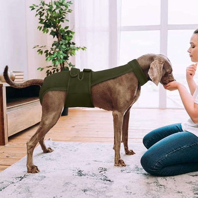 Dog Diapers Female Reusable Washable Period Diaper with Suspender,Adjustable Dog Panties Anti-Harassment, Doggie Diapers for Incontinence, Heat Cycles, or Senior Dogs（XS-XL