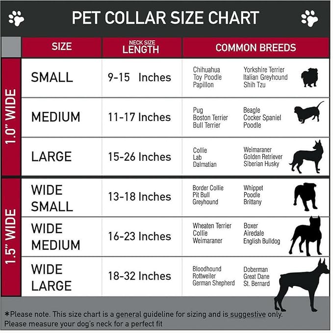 Initial Letter Cuban Chain Dog Chain Pet Chain Pet, Cat, Puppy Necklace (N, 10")