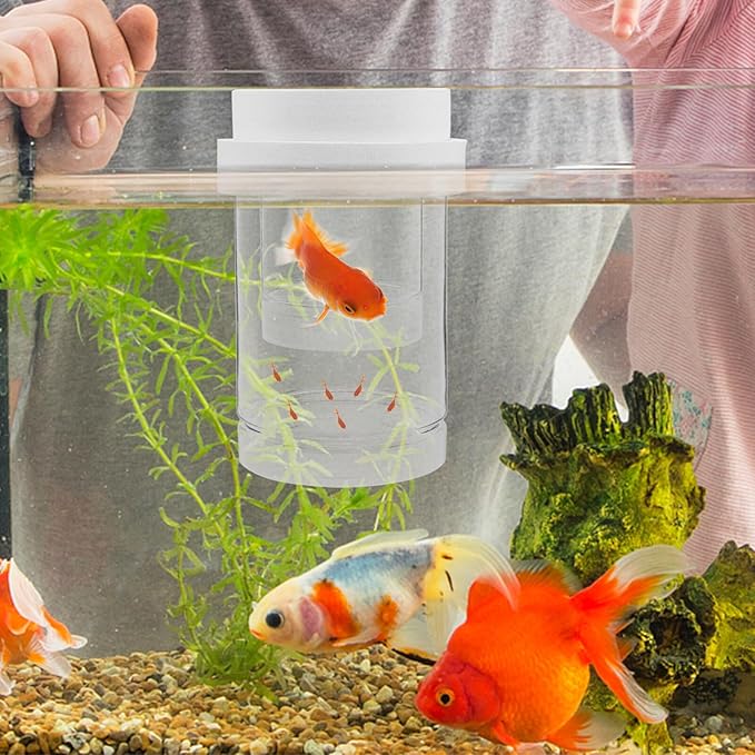 DOITOOL Floating Hatchery Box and Aquarium Breeder Isolation Box Plastic with Fine and Coarse Mesh Set, Small Size Floating Fish Breeding Incubator for Guppy Fry and Betta in Home