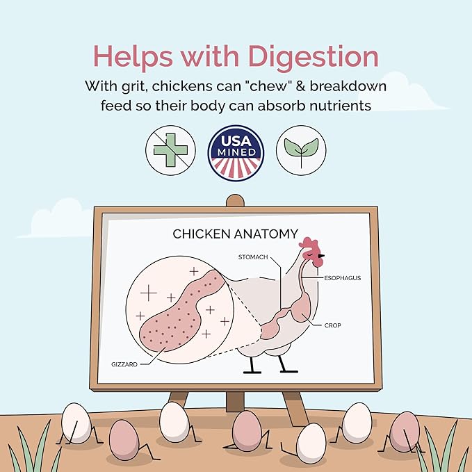 Mile Four Chicken Grit (50 lbs) for Layer & Grower Chickens Age 8-20+ Weeks - 100% Natural Mineral Chicken Grit Quartzite, Poultry Grit, USA Mined