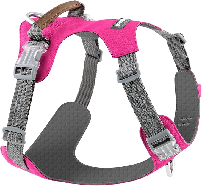 No Pull Dog Harness – Adjustable Reflective Nylon Vest for Small Medium Large Dogs, Escape Proof Training Harness with Leather Control Handle, Lightweight Aluminum Hardware (Hot Pink, L)