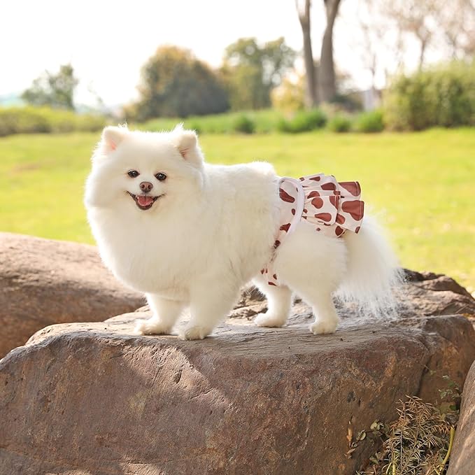 Reusable Dog Diapers Female 3 Pack Doggie Diapers for Period Heat Incontinence Puppy Training (Large, Animal Print)
