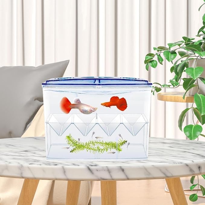 Fish Breeding Box Fish Isolation Box Separation Easy Use Multipurpose Fish Tank Hatchery Incubations Box for Shrimp Baby Fish