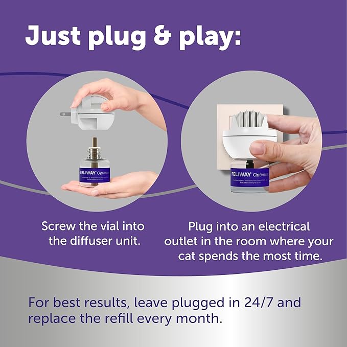 FELIWAY® Optimum 30 Day Cat Calming Plug In Pheromone Diffuser Starter Kit, 48ml - Helps Reduce Common Signs of Stress in Cats & Kittens, Enhanced Calming
