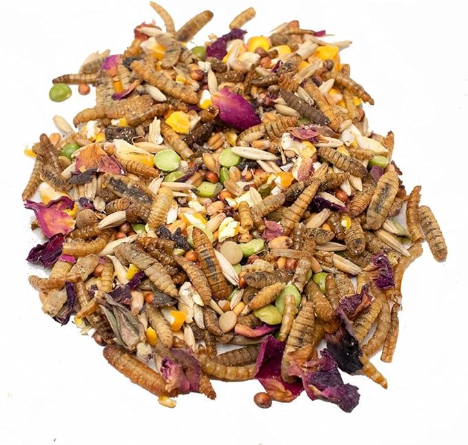 Pampered Chicken Mama Omega-Rich Rainbow Burst Chicken Treats for Hens with Black Soldier Fly Larvae for Chickens, Dried Mealworms for Birds, Grubs for Chicken Feed, (8 pounds)