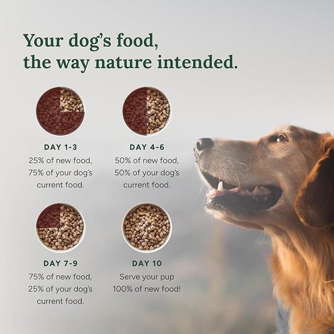 360 Pet Nutrition Freeze-Dried Raw Dog Food – Chicken Recipe with Liver & Organs, High Protein, Omega-3s, Fruits, Veggies & Superfoods, Grain-Free, No Fillers 4 x 16 oz Made in USA