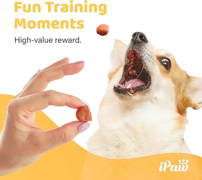iPaw Chicken Tots Dog Treats for Puppy Training, All Natural Human Grade Dog Treat, Hypoallergenic, Easy to Digest (Chicken Tots)