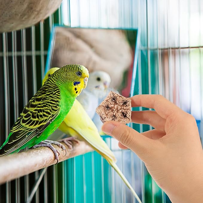 12pcs Natural Parrot Chewing for Budgie Parakeet Bird Foraging Accessories with Crunchy Texture Healthy Beak Grinding to Prevent Furniture Damage and Loneliness