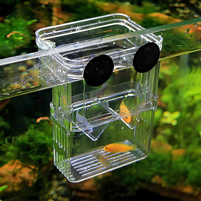 Petzilla in-Tank Aquarium Breeder Box for Fish Tank, Breeding Incubator for Small Fish Hatchery, Acrylic Divider for Shrimp Clownfish Aggressive Injured Fish (Large)