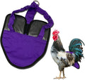 Hen Holster, Wrap-Around Chicken Diapers, Comfy Chicken Diapers for Hens & Roosters, US-Made Chicken Diaper, Must-Have Chicken Accessories, with Sewn-in Liner, XL, Purple - Crazy K Farm