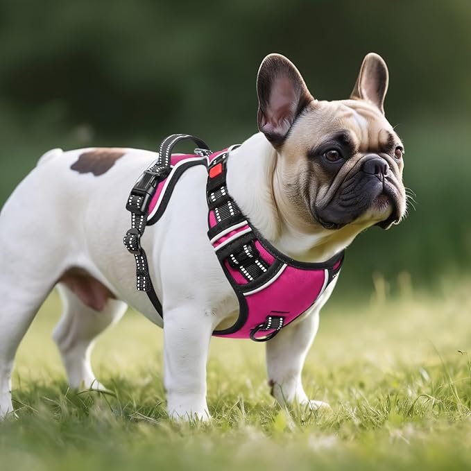 Timos No Pull Dog Harness, No Choke Front Lead Dog Reflective Harness, Adjustable Soft Padded Pet Vest with Easy Control Handle for Small Medium Large Dogs, M