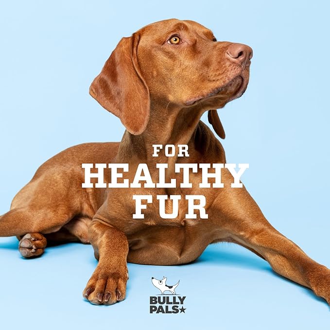 6 inch Thin Bully Sticks for Small Dogs and Puppies - 20 Pack - All Natural, Single Ingredient, Easily Digestible, All Beef Dog Treats and Rawhide Free Dental Chew Bones for Dogs