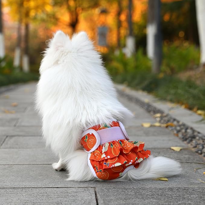 Dog Diapers Female Washable (3 Pack), Reusable Dog Period Diapers Female Doggie Diapers Puppy Diapers Female Dog Diapers for Heat, Incontinence, Excitable Urination,M