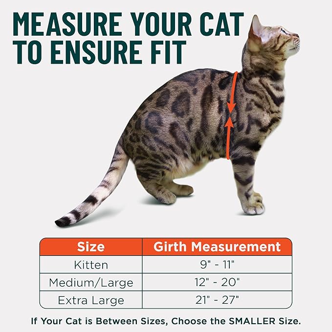 Houdini™ Escape Proof Cat Harness and Leash Set by OutdoorBengal – Turquoise, Large Cat Harness for Walking Big Cats