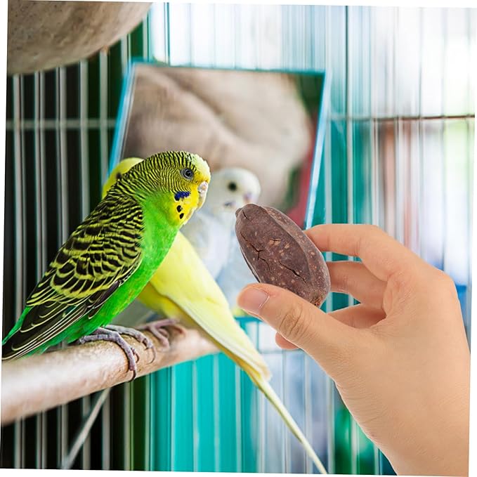 8pcs Natural Dried Fruit Bird Chew for Parrots Macaws Conures Mental Stimulation Foraging Shredding Cage Accessories to Reduce Loneliness
