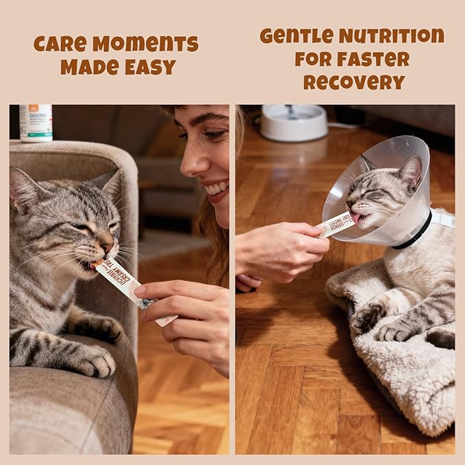 Havira Healthy Lickable Creamy Cat Treats Hairball Control – Chicken & Cat Grass Flavor Squeeze Treats with Psyllium Husk, Functional Snacks to Help Reduce Hairball Buildup, Grain Free