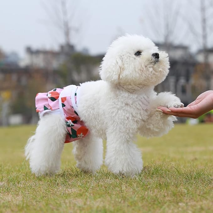 Reusable Dog Diapers Female 3 Pack Washable Premium Highly Absorbent Doggie Diapers, Flexible Puppy Diapers, Durable Leak-Proof Fruit Dog Diapers for Period Heat Incontinence Puppy Training, L