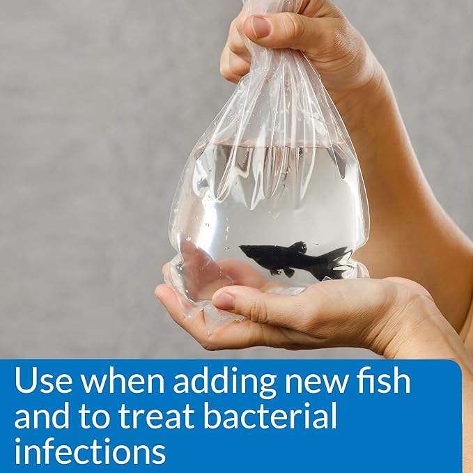 API MELAFIX Freshwater Fish Bacterial Infection Remedy 16-Ounce Bottle