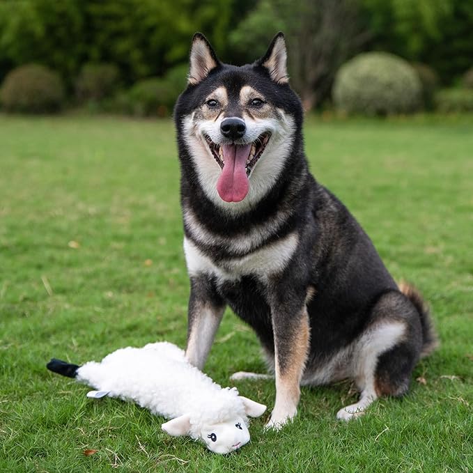 Best Pet Supplies Squeaky Dog Toys with Soft Durable Fabric for Small, Medium and Large Pets Interactive Toy for Indoor Play, Supports Active Biting and Play - Sheep, Medium