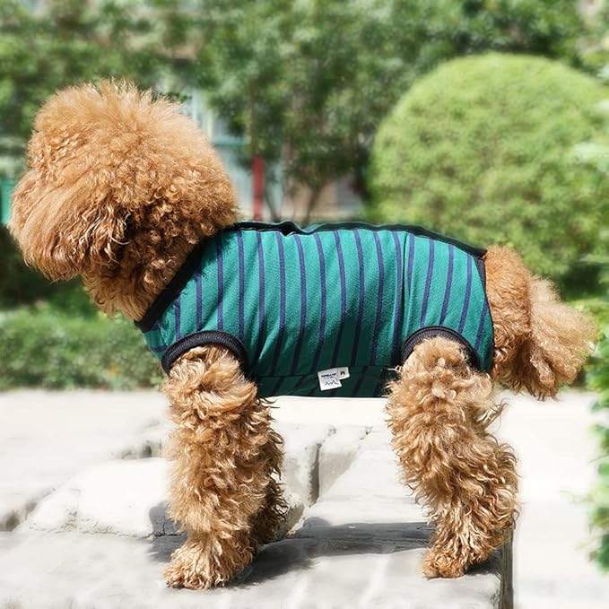 Dog’s Recovery Suit Post Surgery Shirt for Puppy, Wound Protective Clothes for Little Animals(Green Black Stripe-m)
