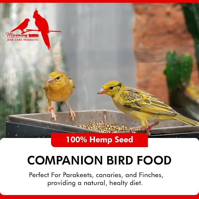 Morning Bird Hemp Seeds 1.5 lbs – Natural Superfood Seed – High in Natural Protein, Healthy Fats, Omega 3 and 6 Fatty Acids, Delicious Natural Flavor, Supports Feather Growth & Overall Health