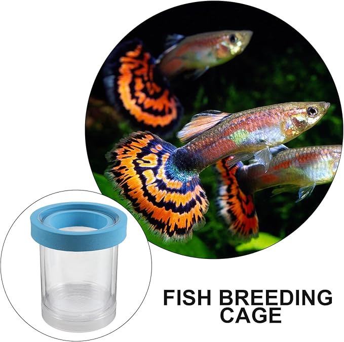2pcs Aquarium Breeding Box Floating Incubator Fish Tank Isolation Box Plastic Hatchery Nursery for Guppy Fry and Small Fish