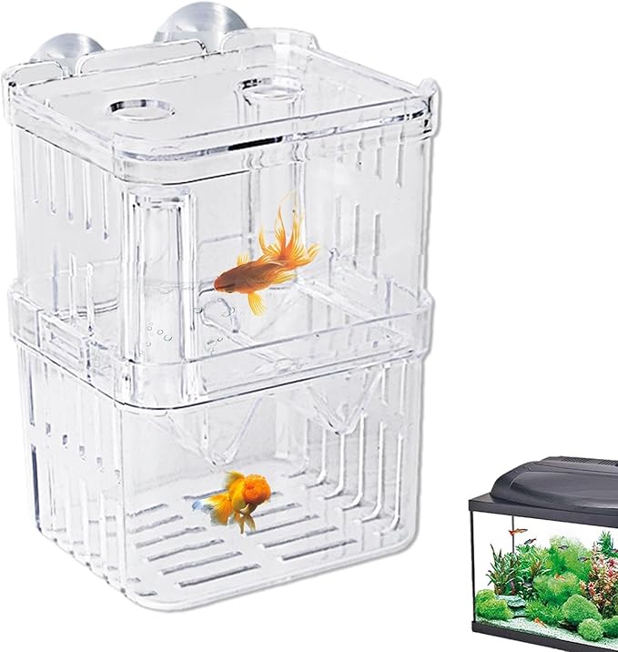 1/2 Fish Acclimation Box - Acrylic Hatchery Incubator Tank, Fish Breeder Box with 2 Suction Cups | Easily Install Breeding Isolation Box, Floating Breeding Box for Baby Fishes Shrimp Betta Guppy