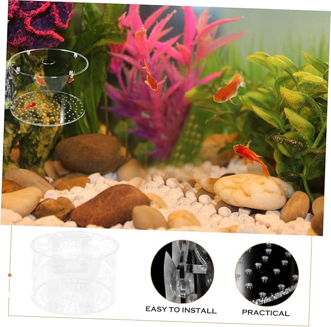 Yardwe Fish Breeding Box for Betta and Shrimp Lightweight Isolation Tank Protective Divider for Newborns and Pregnant Fish Aquarium Accessory