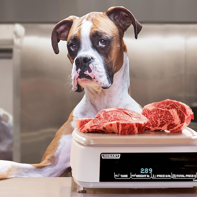 Fromm Heartland Gold Adult Premium Dry Dog Food - Beef Recipe - 12 lb